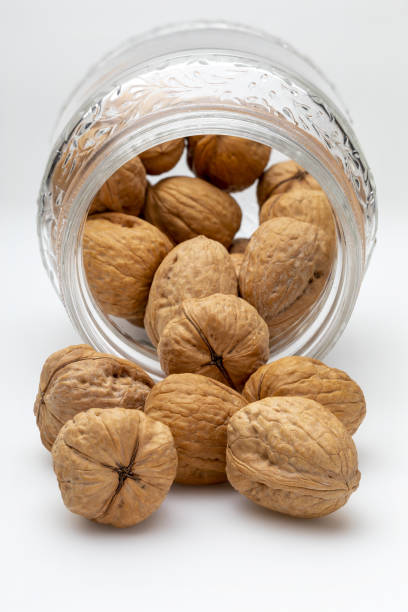 Walnuts in glass jar. Isolated on white background.