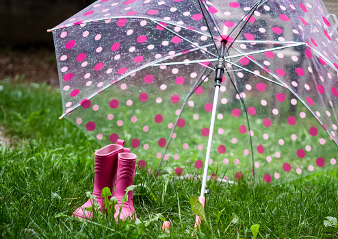 Umbrella, Rain, Rubber Boot, Pink