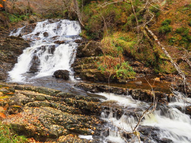 istock Plodda falls in Glen Affric, Scotland 1085707724