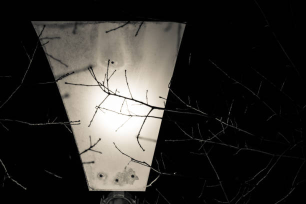 Bare branches of a tree illuminated as a silhouette by a street light in the depth of winter.  Belfast, Northern Ireland.