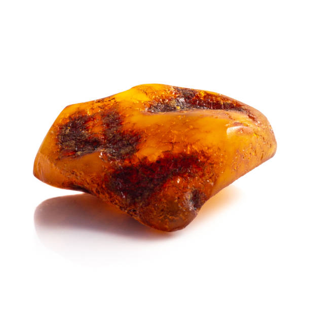 istock Untreated piece of natural amber on white background 1085713096
