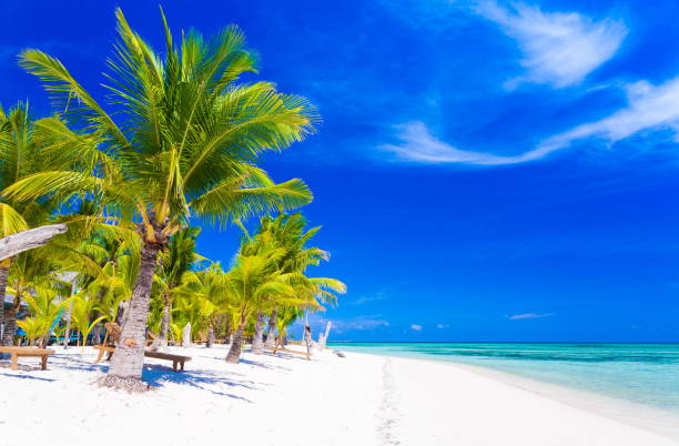 istock Philippines,  tropical sea background 1085715752