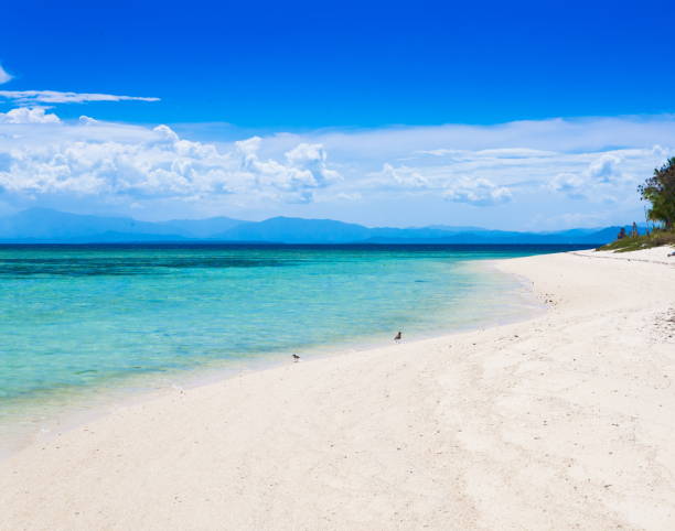 istock Philippines,  tropical sea background 1085715900