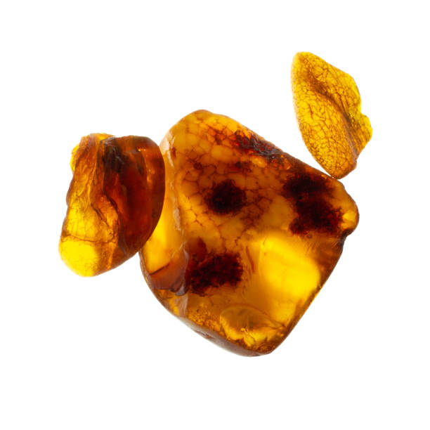 istock Several untreated pieces of natural amber on white background 1085715938