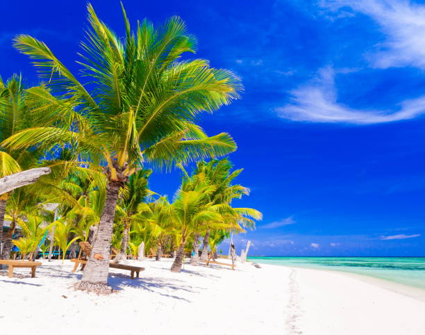 istock Philippines,  tropical sea background 1085717250