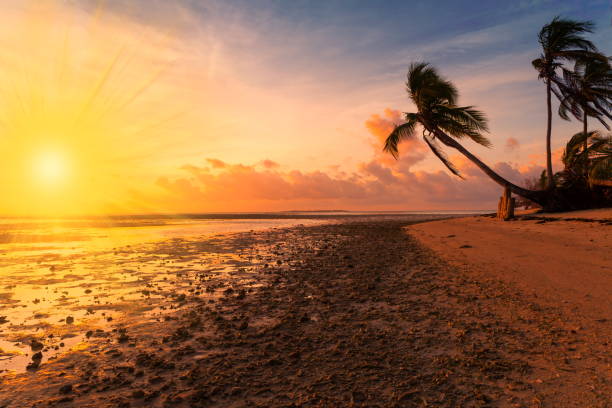 istock Philippines,  tropical sea background sunset 1085717498