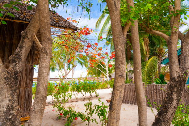 istock Philippines,  tropical sea beach, palms garden 1085718472