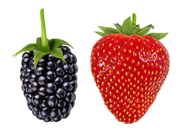 istock Strawberry and blackberry isolated on white background with clipping path 1085722928