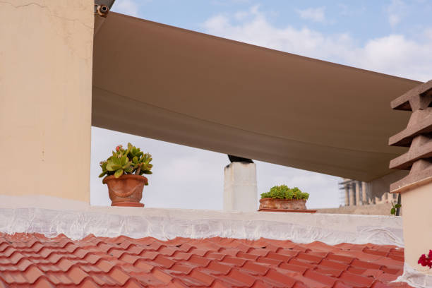 Cacti sit on a rooftop, with tile shingles below, typical orange color for Mediterranean homes.