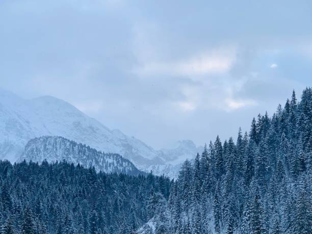 Scenic snow covered mountains in the alps of St. Anton am Arlberg, Austria. Large avalanche protection fences -Image