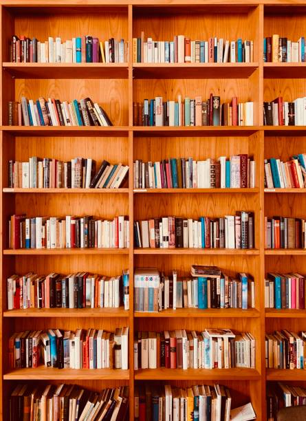istock Wooden brown books shelves 1085754424