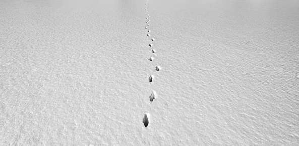 A deer's footprints lead across a frozen lake.