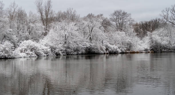 istock Lake with snow covered trees on bank 1085762318