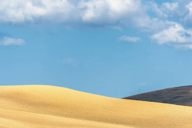 istock basilicata hills landscapes 1085765150