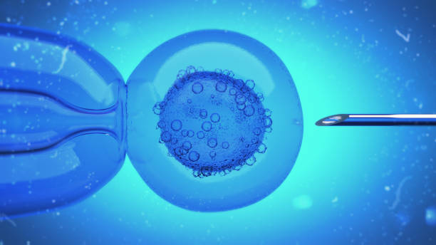 istock 3D Illustration of a DNA filled liquid being injected into an egg cell nucleus 1085765970