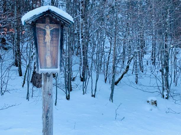 istock Crucifix with glass protection in the forest 1085767110