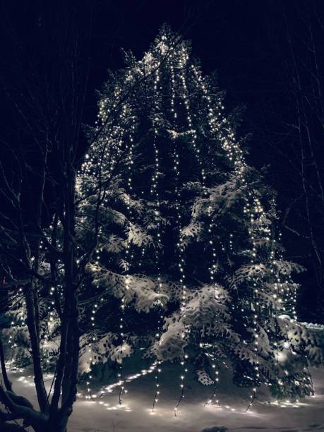 istock Illuminated outdoor Christmas tree at night, snow-covered 1085767630