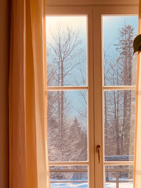 istock Looking out the window in winter 1085767926