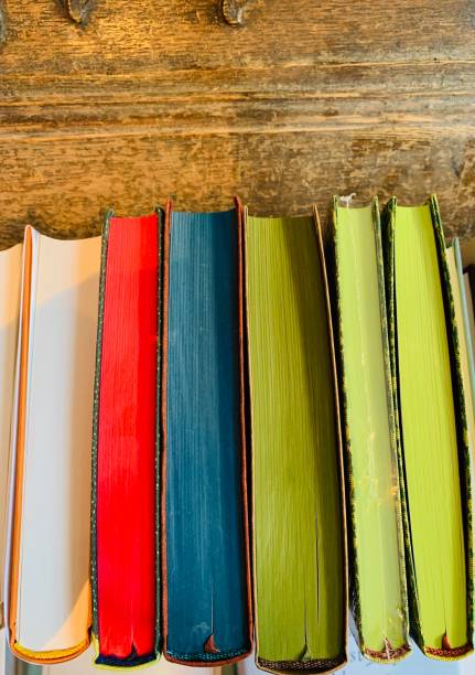 istock Row of colorful books 1085768018
