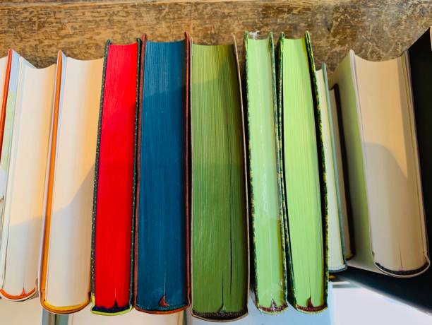 istock Row of colorful books 1085768028