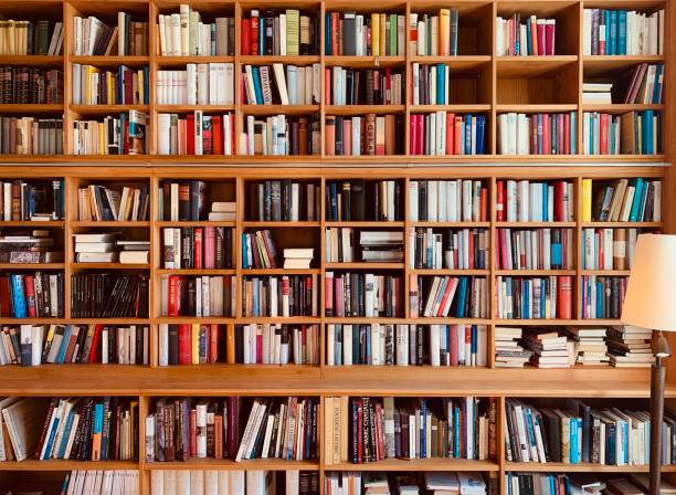 étagères de livres marron en bois avec une lampe - library photos et images de collection