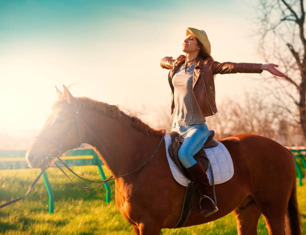 istock Woman sitting  horse. Sunset. 1085770680