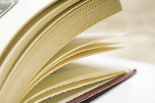 istock yellowed pages of an old book 1085774158