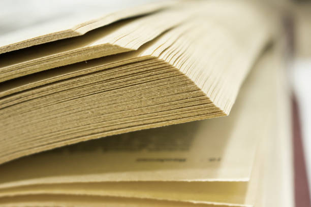 istock yellowed pages of an old book 1085774174