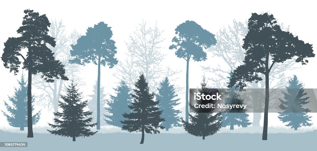 Snowy forest in winter, silhouette of trees (pines, spruces, oak, etc.). Vector illustration. Abstract stock vector