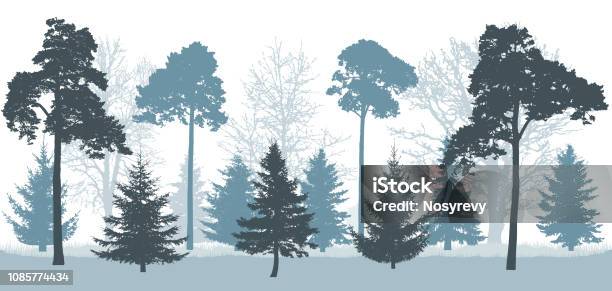 Snowy Forest In Winter Silhouette Of Trees Vector Illustration Stock Illustration - Download Image Now