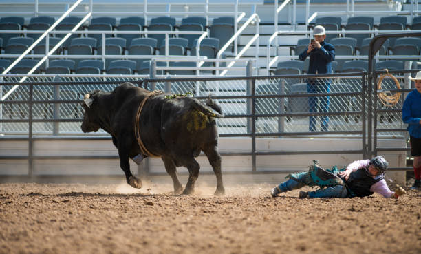 istock Cowboy Bull Riding in Rodeo Arena 1085774826