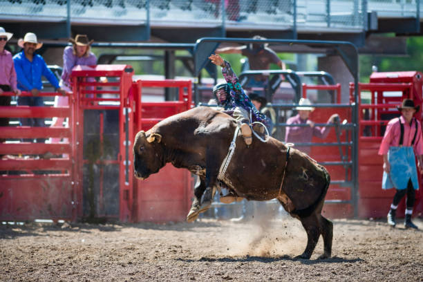 istock Cowboy Bull Riding in Rodeo Arena 1085774848