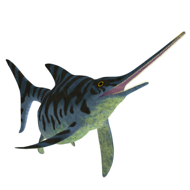 istock Eurhinosaurus Ichthyosaur Reptile on White 1085774868
