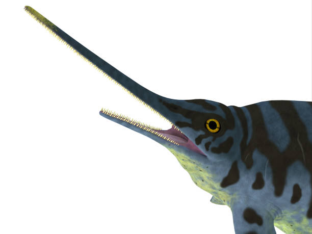 istock Eurhinosaurus Reptile Head 1085775542