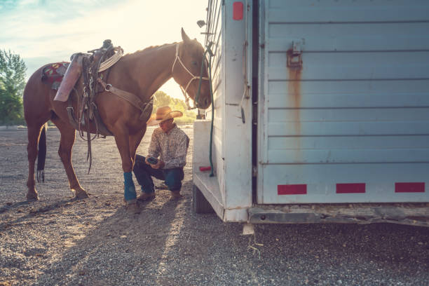 Prepping the horses for a rodeo event Prepping the horses for a rodeo event spanish fork utah stock pictures, royalty-free photos & images