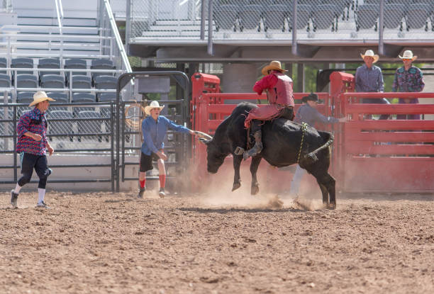istock Cowboy Bull Riding in Rodeo Arena 1085776906