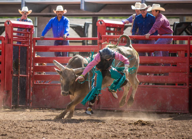 istock Cowboy Bull Riding in Rodeo Arena 1085777060