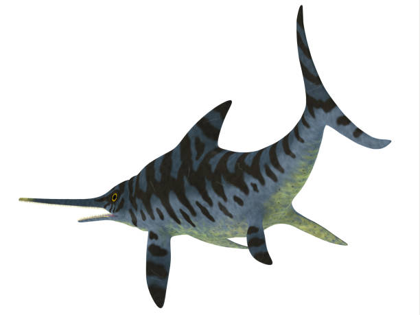 istock Eurhinosaurus Reptile Tail 1085778760