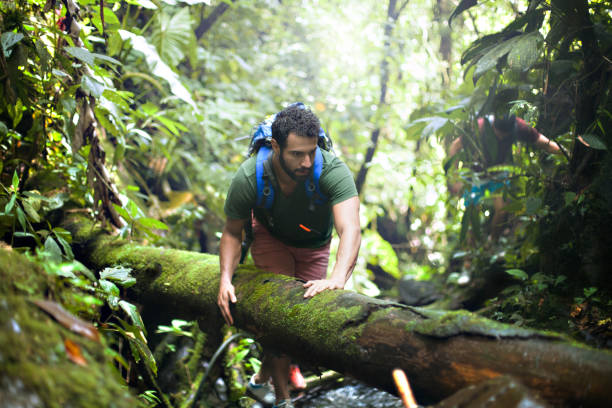 istock Friends walking in the woods 1085781436