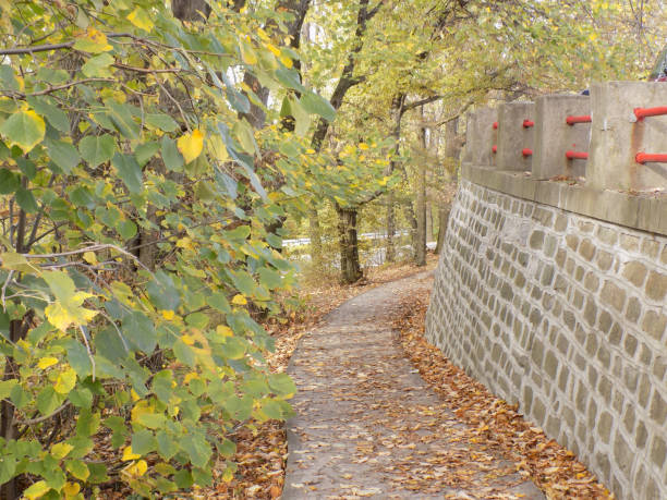 擁壁の近くの歩道に落ち葉 - landscaped retaining wall wall stone ストックフォトと画像