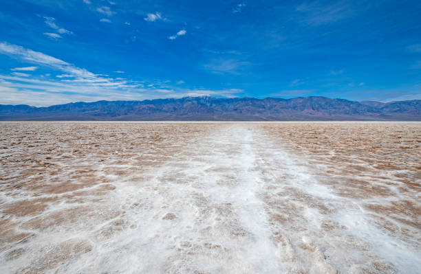 istock Heading out into the Salt Flats in the Desert 1085788240