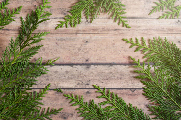 istock Holiday Greenery on a Wood Background 1085790168
