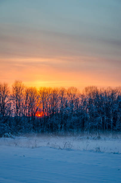 istock Winter Landscape with Snowy Forest at sunset 1085816094