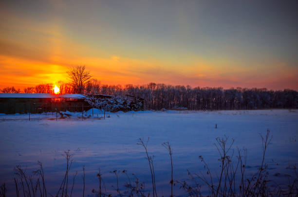 istock Winter Landscape with Snowy Forest at sunset 1085816098