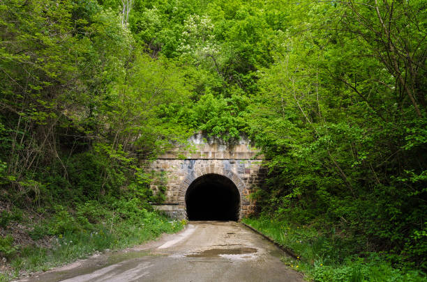 istock Old road tunnel in forest 1085836644