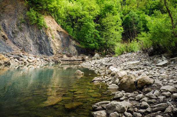 Svitca mountain river in Gorgany region of Carpathian mountains, Ukraine