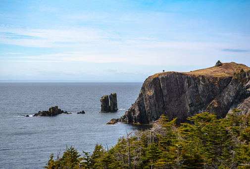 Couple hikes in bluff overlooking the Atlantic Ocean near Trinity, Newfoundland, Canada