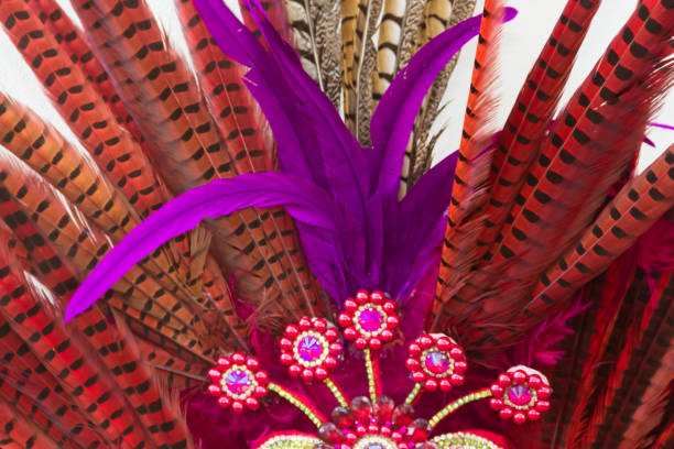 istock feathers and embroidery with brilliants for the carnival 1085859062