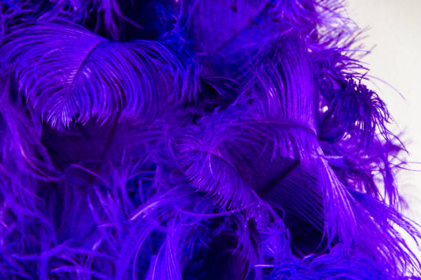 istock background with colorful carnival feathers texture 1085859224