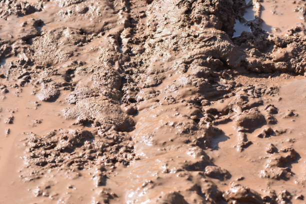dusty dirt road at summer day, full-frame closeup view